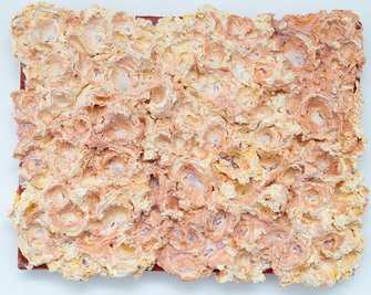 Rossella Vasta, Blossom, 2022