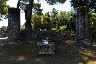 Aljoscha, object 380, 2022