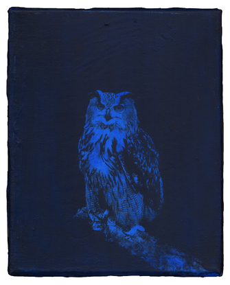 Stefan à Wengen, Amèricá X, 2021