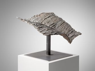 Emil Cimiotti, Sahara, 2010