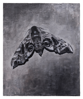 Stefan à Wengen, Detected Dictionary, 2014