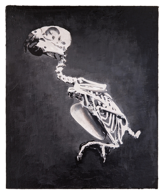 Stefan à Wengen, Detected Dictionary, 2014