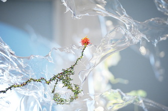 Aljoscha, Urpflanze II, no. 5, 2021