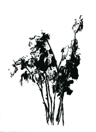 Heribert C. Ottersbach, o.T. (Blumen, vertrocknet), 2013, &copy; H.C. Ottersbach + VG Bild-Kunst, Bonn