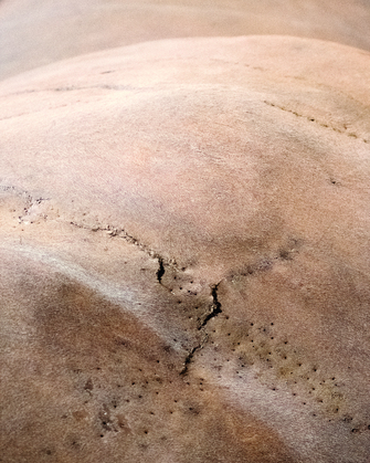 Daniele Ansidei, Landschaft #1 (aus der Serie "Time heals everything but wounds"), 2017