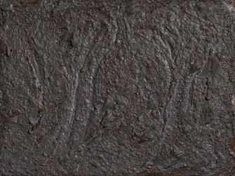 Rossella Vasta, Orpheus' Journey (4), 2020