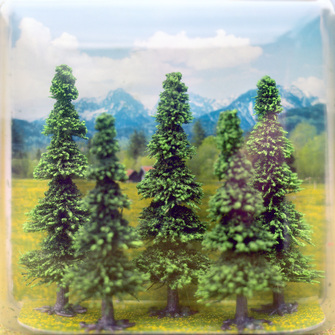 Thomas Wrede, Tannen (aus der Serie 'Wrapped Landscapes'), 2004, &copy; Thomas Wrede, VG-Bildkunst, Bonn