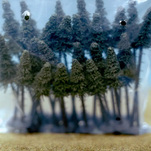 Thomas Wrede, Tannen im Beutel (aus der Serie 'Wrapped Landscapes'), 2004, &copy; Thomas Wrede, VG-Bildkunst, Bonn