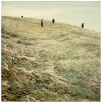 Knut Wolfgang Maron, Les faux témoins, 1988, 2022