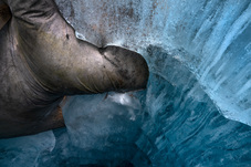 Thomas Wrede, Rhonegletscher_inside #20 (aus der Serie "Gletscherprojekt"), 2019, &copy; Thomas Wrede + VG Bild-Kunst, Bonn