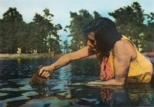 Fabrizio Plessi, Segare il Lago Stichter in due parti uguali (Stichter See in zwei gleiche Teile sägen), Aktion, 1975