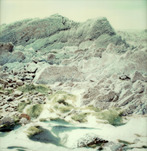 Knut Wolfgang Maron, Muschelbank, 1995, 1995