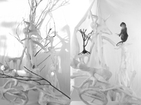 Hartmut Neumann, Die neue falsche Welt der Affen - Unklare Zustände. Kleiner Baum, 2020/2021