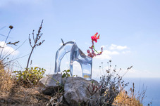 Aljoscha, object 379, 2022