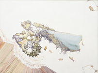 Aljoscha, neue p-landscape - Infos von Aljoscha holen, 2012