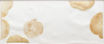 Morio Nishimura, Kalpa-8, 2006