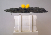 Joachim Elzmann, Zitronenschiff, 2000