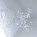 Aljoscha, Urpflanze III, 2022