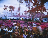 Richard Mosse, Lost Fun Zone, 2012