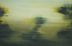 Sophia Loth, o.T. (Zuglandschaft), 2010