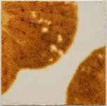 Morio Nishimura, o.T., 2001, &copy; Beck & Eggeling