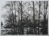 Heribert C. Ottersbach, Pastorale - Sergeac, 2006, &copy; H.C. Ottersbach + VG Bild-Kunst, Bonn