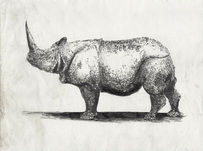 Stefan à Wengen, o. T., 2009