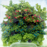 Thomas Wrede, Sträucher (aus der Serie 'Wrapped Landscapes'), 2004, &copy; Thomas Wrede, VG-Bildkunst, Bonn