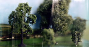 Thomas Wrede, Baumgruppe (aus der Serie 'Wrapped Landscapes'), 2005, &copy; Thomas Wrede, VG-Bildkunst, Bonn