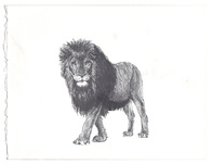 Stefan à Wengen, o. T., 2018