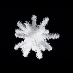 Aljoscha, object # 58, 2008