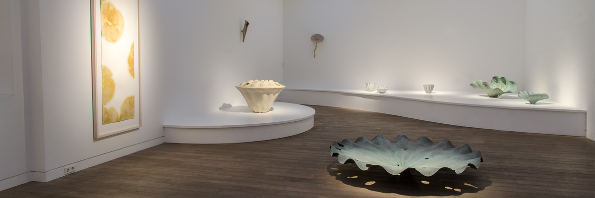 Morio Nishimura – Oblivion. Zugang zum Paradies