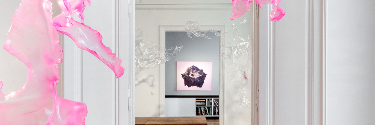 Aljoscha. peak experience