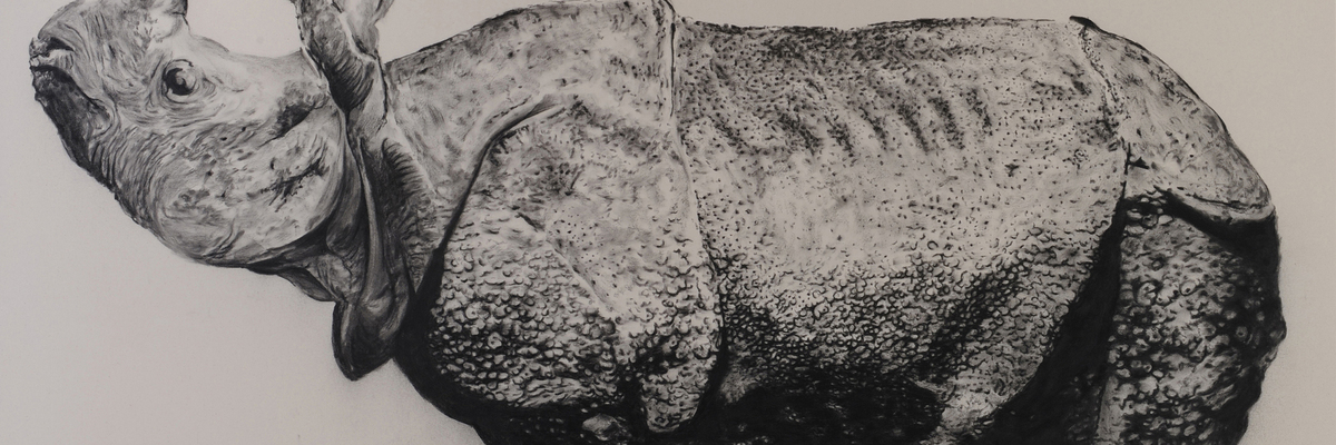 Stefan à Wengen. My Captive Heart