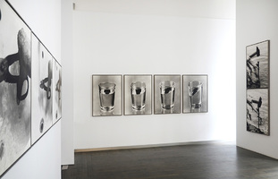 Fabrizio Plessi. Utopia Liquida