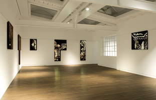 Fabrizio Plessi. Memoria dell'Aqua