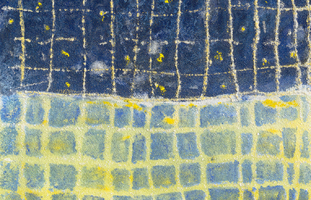 Pier Paolo Calzolari »Muitos estudos para uma casa de limão«