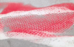 HIGHLIGHTS Internationale Kunstmesse München 2024