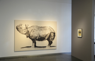 Stefan à Wengen. My Captive Heart