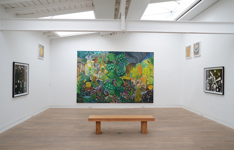 006-2013-06-Hartmut-Neumann-Ueppige-Kernzone-11.jpg (c) Beck & Eggeling International Fine Art