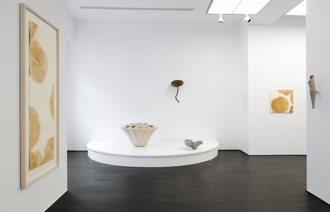 058-2013-04-DSC_5478.jpg (c) 