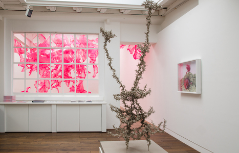 Aljoscha_D17_IA_HR_02.jpg (c) Beck & Eggeling International Fine Art