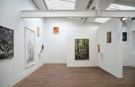 Baum, Beck & Eggeling NQ, Düsseldorf 2015 (c) Beck & Eggeling International Fine Art