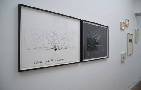 Baum, Beck & Eggeling NQ, Düsseldorf 2015 (c) Beck & Eggeling International Fine Art