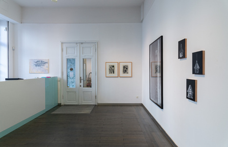 DSC_4381.jpg (c) Linda Inconi-Janssen