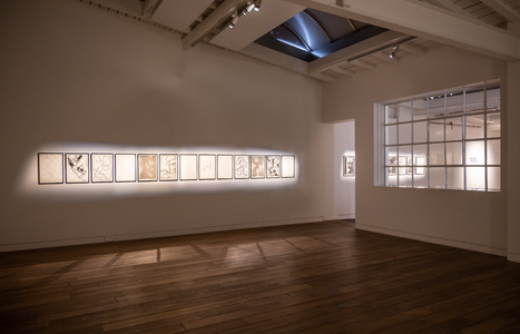 DSC_6656-Edit.jpg (c) 