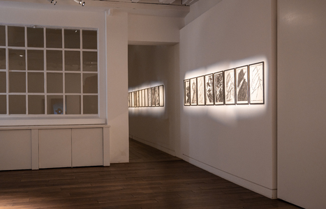 DSC_6689-Edit.jpg (c) 