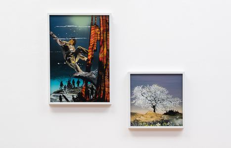 DSC_9071Edit.jpg (c) 