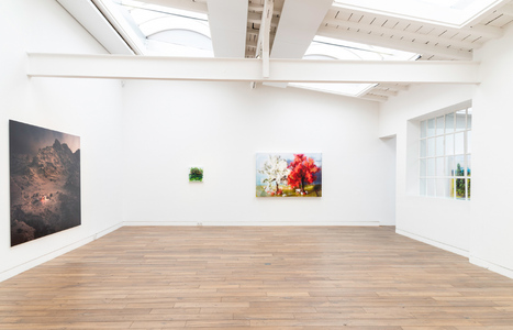 Thomas Wrede. Sceneries, Beck & Eggeling, Düsseldorf, 2019 (c) Linda Inconi-Jansen