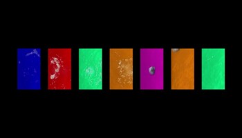 2018: Fabrizio Plessi at TEFAF MAASTRICHT